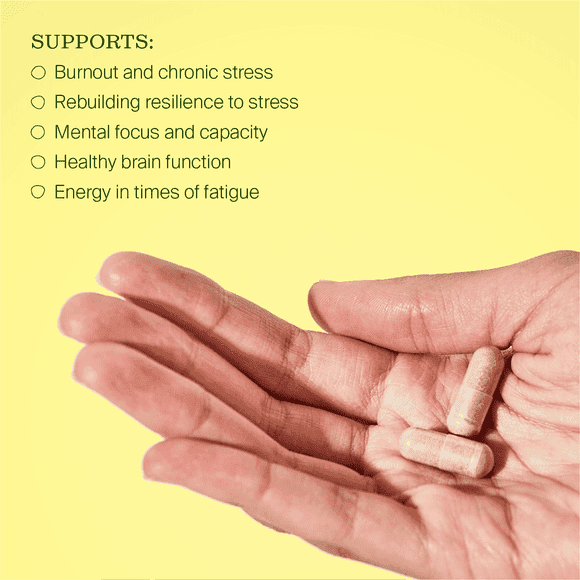 BePure Burnout Rescue 60 - Life Pharmacy Orewa