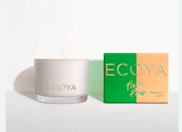 Ecoya Monty Jar Pine - Life Pharmacy Orewa