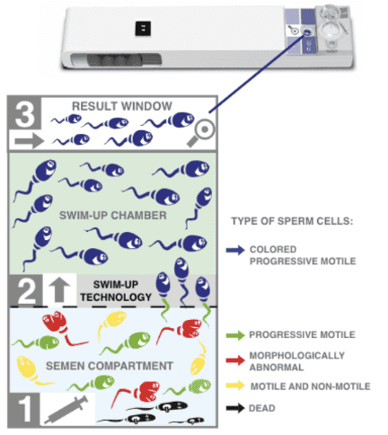 SwimCount Sperm Quality Test - Life Pharmacy Orewa