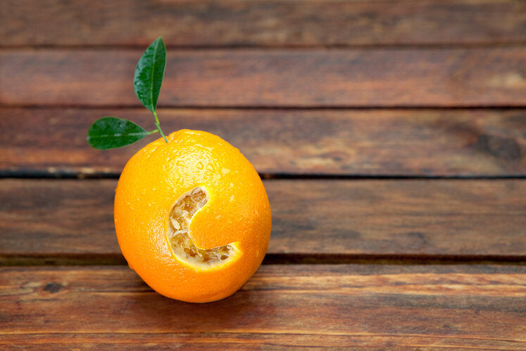 Best Vitamin C Supplements in NZ