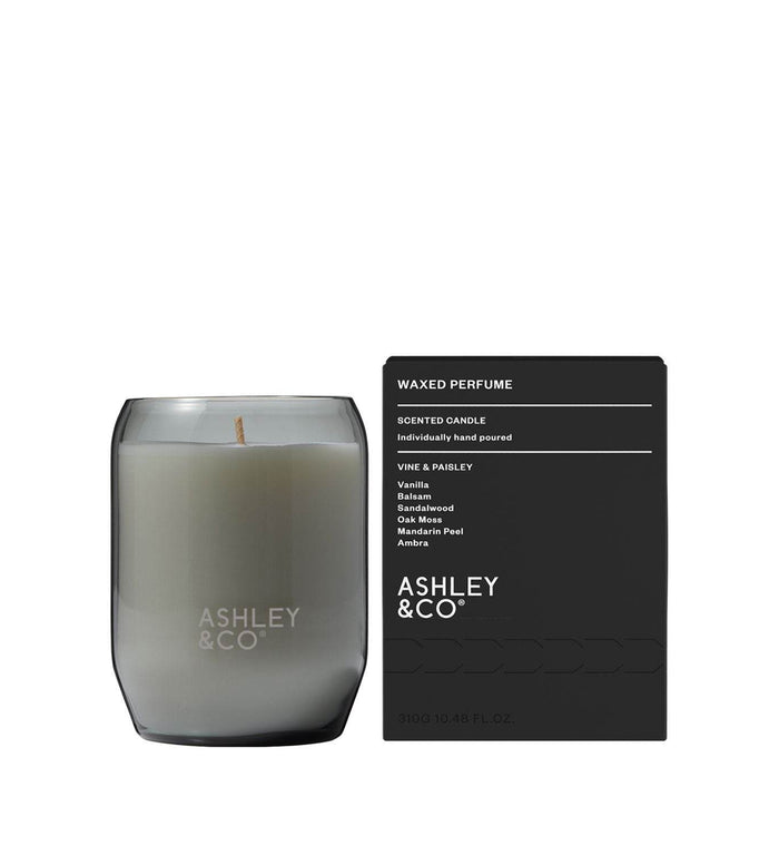 Ashley & Co Waxed Perfume Candle - Vine & Paisley - Life Pharmacy Orewa