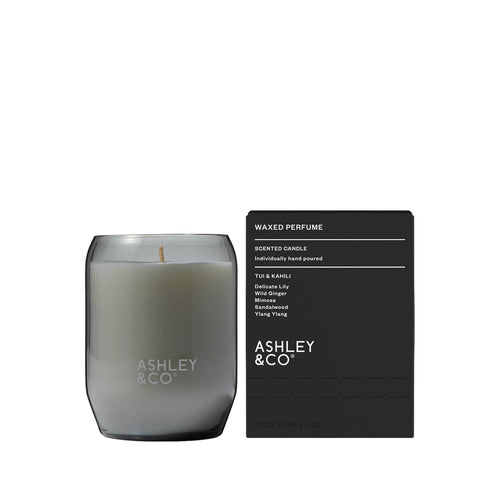Ashley & Co Waxed Perfume Candle - Tui & Kahili - Life Pharmacy Orewa