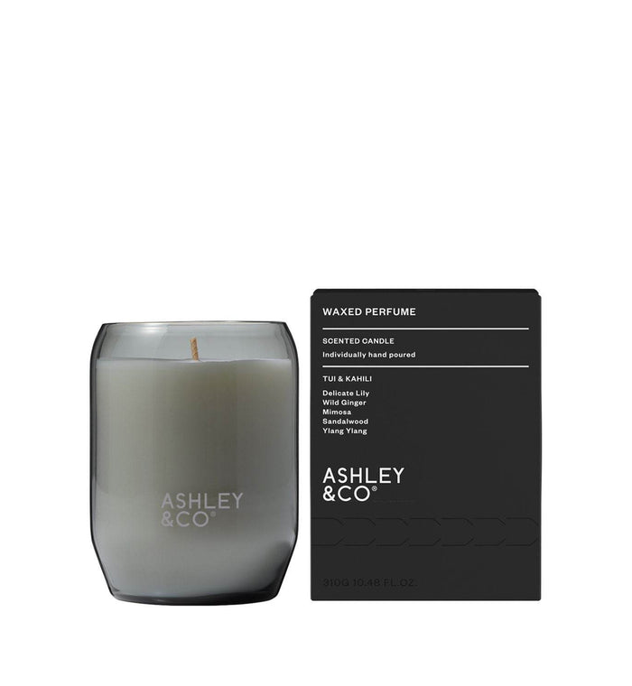 Ashley & Co Waxed Perfume Candle - Tui & Kahili - Life Pharmacy Orewa
