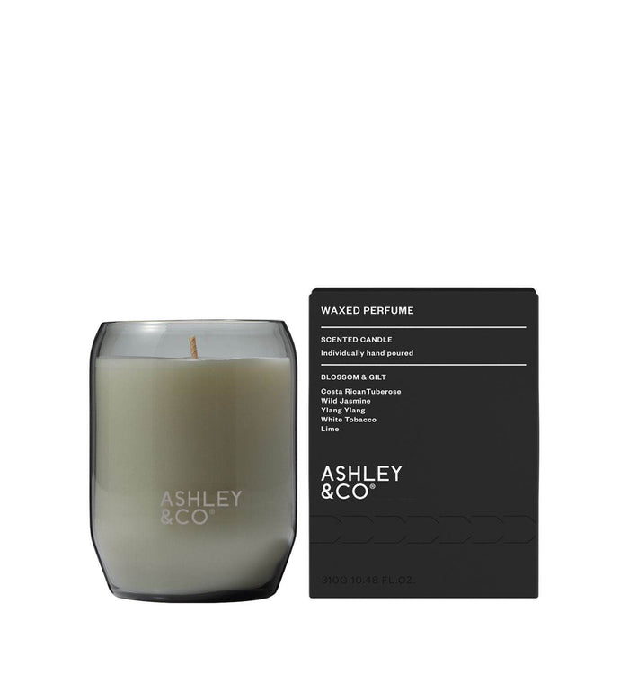 Ashley & Co Waxed Perfume Candle - Blossom & Gilt - Life Pharmacy Orewa