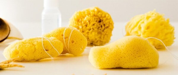 Using sea sponge tampons